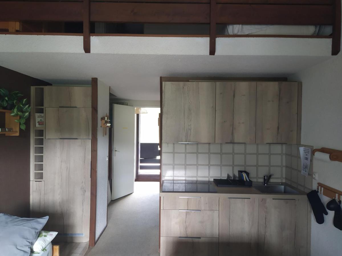 Duplex 3 Pieces. Pieds Des Pistes Et Balcon! Apartman Gresse-en-Vercors Kültér fotó